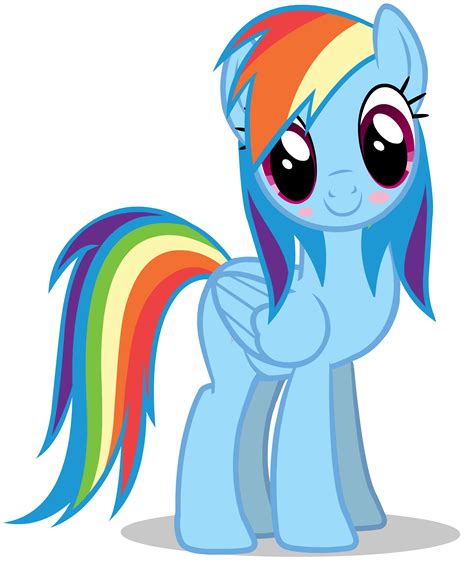 adorable rainbow dash|rainbow dash husband.